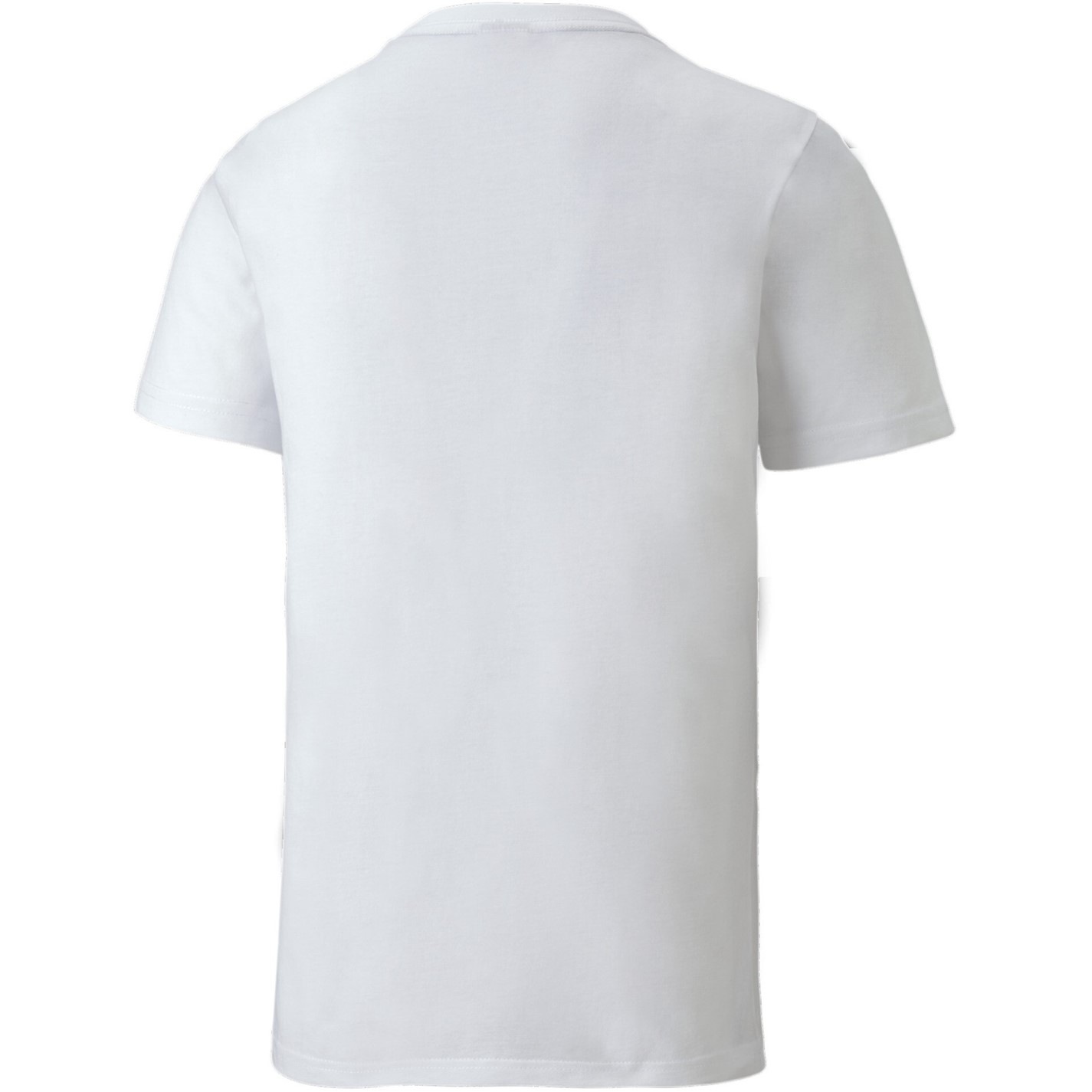 59005101_xxl_a1.jpg