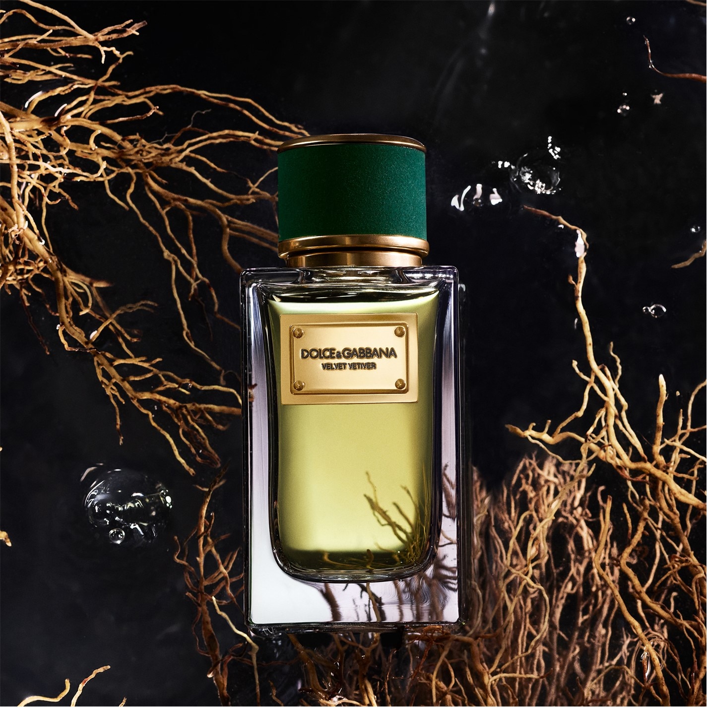 Dolce and Gabbana | Velvet Vetiver Eau de Parfum | Unisex | Clear