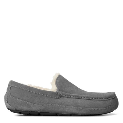Ugg - Ascot Slipper Mens