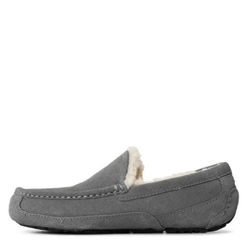 Ugg - Ascot Slipper Mens