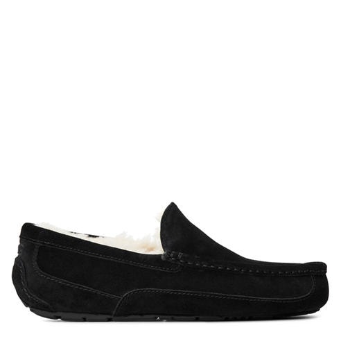 Ugg - Ascot Slipper Mens