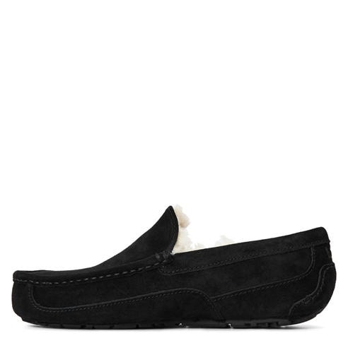 Ugg - Ascot Slipper Mens