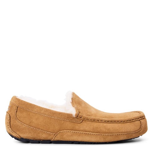 Ugg - Ascot Slipper Mens