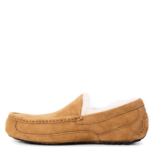 Ugg - Ascot Slipper Mens