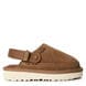 Chestnut CHE