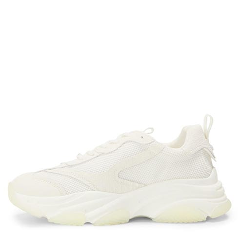 Steve Madden - Men's Possess Low-Top Trainers