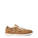 Chestnut