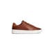 Winter Cognac