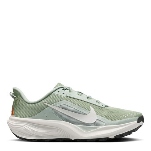 Nike - Mens Nike Pegaus 42s Running Shoes