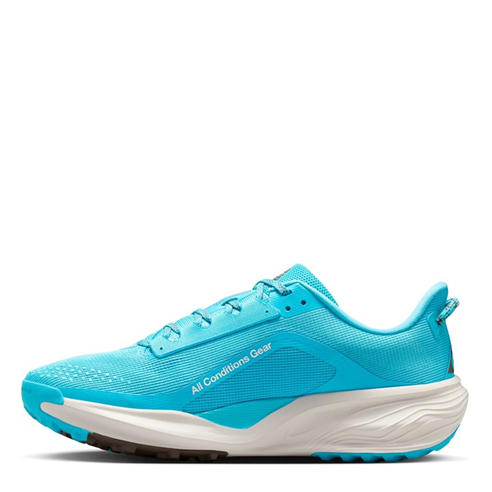 Nike - Mens Nike Pegaus 42s Running Shoes