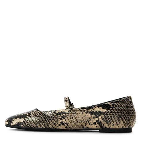 Steve Madden - Women's Ezri Ballet Pumps