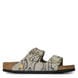 Snake Print