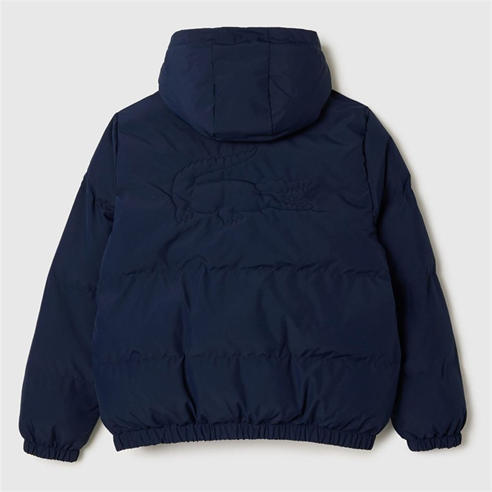 Lacoste - Padded Jacket