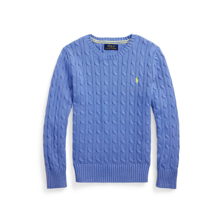 Polo Ralph Lauren Boys Blue Logo Jumper Juniors