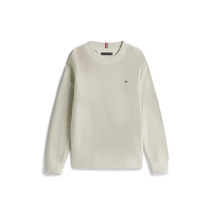 Tommy Hilfiger Boys Green Tommy Sml Flag Knit