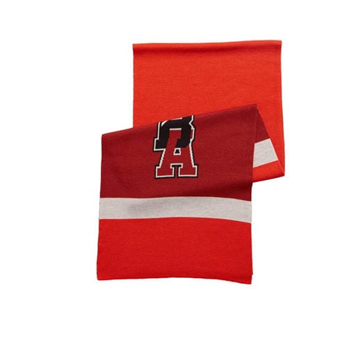 Boss - Floggy Scarf