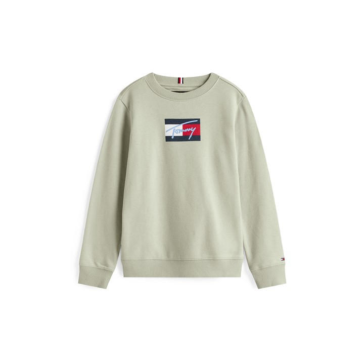 Tommy Hilfiger Boys Green Tommy Scrpt Flg Crew