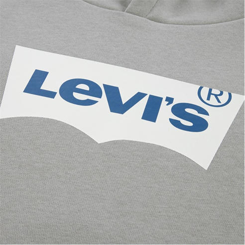 Levis - Children's Batwing OTH Hoodie