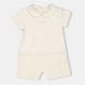 Beige F19J5