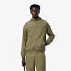 Olive 6Z8