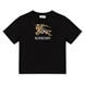 Black A1189