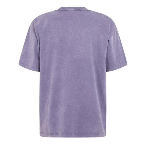 ARIES - Men's Ancient Temple T-Shirt