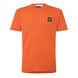 B Orange V003B
