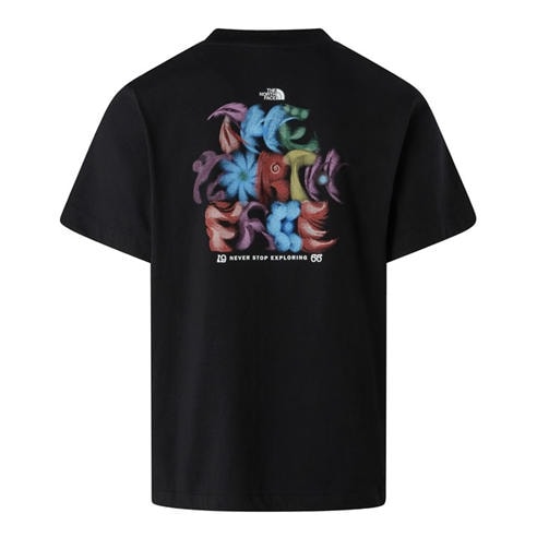 THE NORTH FACE - TNF Graphic Tee Mens