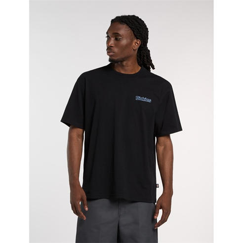 Dickies - Dickies Fairlawn Tee Mens