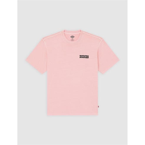 Dickies - Dickies Buchtell Tee Mens