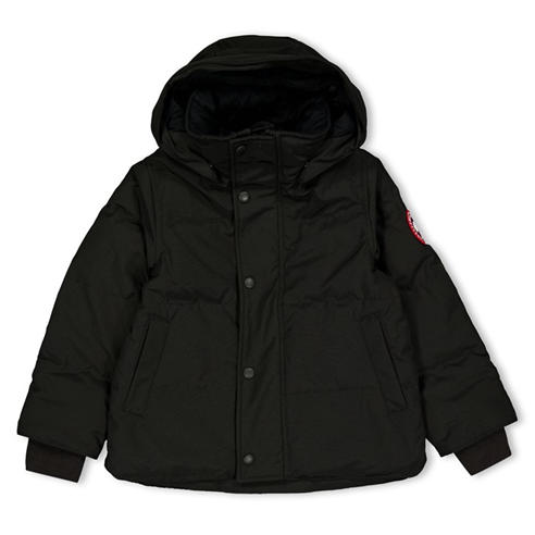 CANADA GOOSE - Canada Snowy Owl Prk Jn64