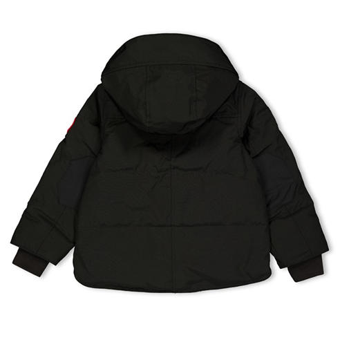 CANADA GOOSE - Canada Snowy Owl Prk Jn64