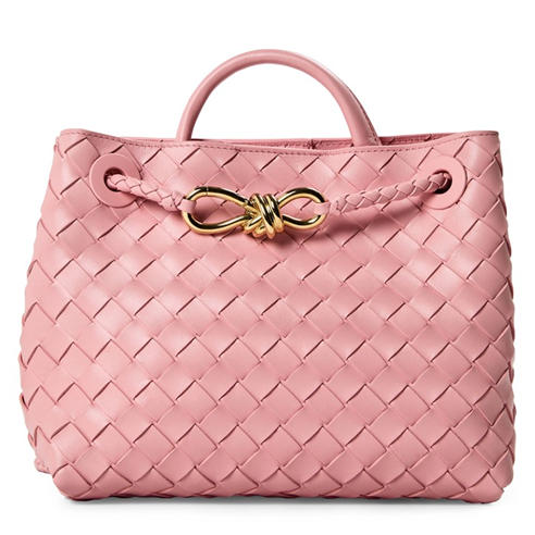 BOTTEGA VENETA - Small Andiamo