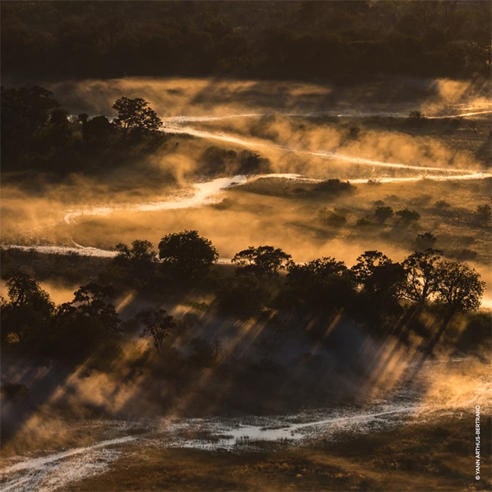 Guerlain - Aqua Allegoria Forte Bosca Vanilla Eau de Parfum Refill