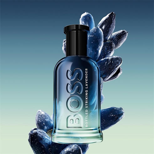 Boss - Hugo BttldStrkLavend Sn64