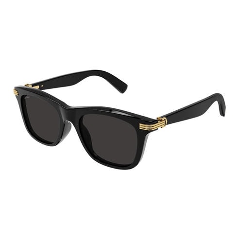 CARTIER - Cartier Womens Wayfarer CT0396S Sunglasses