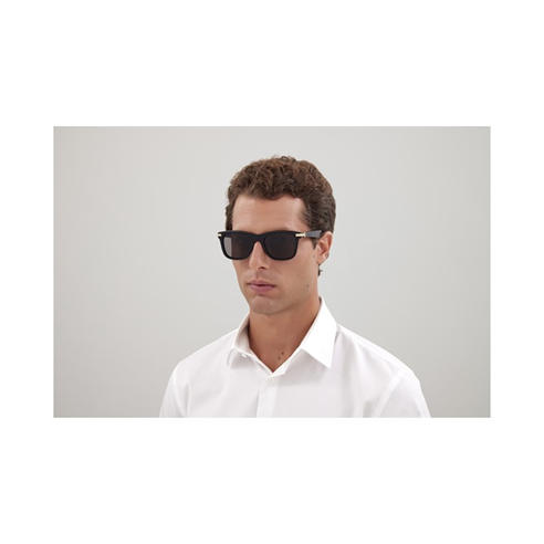CARTIER - Cartier Womens Wayfarer CT0396S Sunglasses