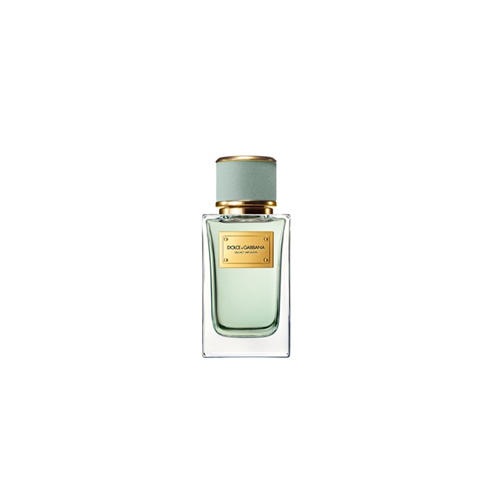 Dolce and Gabbana - Velvet Infusion Eau de Parfum