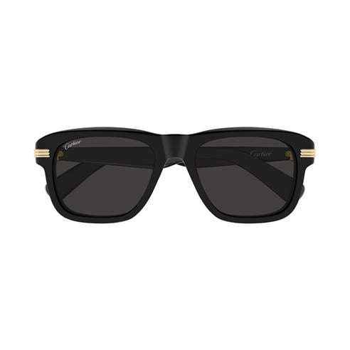 CARTIER - Cartier CT0657S Sn71