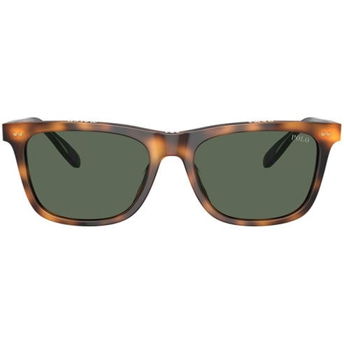 Polo Ralph Lauren - Men's 0PH4205U Wayfarer Sunglasses