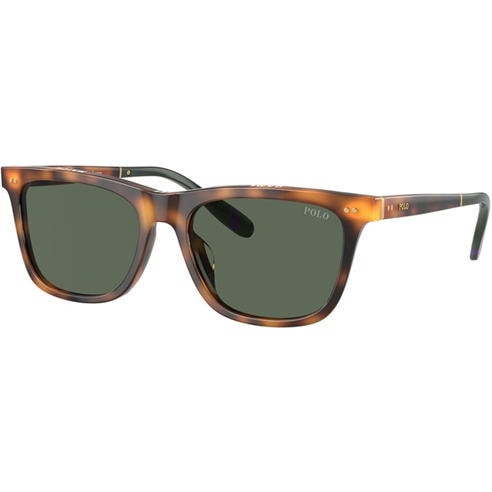 Polo Ralph Lauren - Men's 0PH4205U Wayfarer Sunglasses