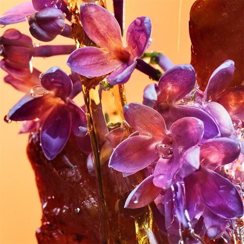 Bvlgari - Allegra RocknRome Eau de Parfum