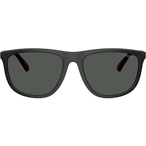 Polo Ralph Lauren - Men's 0PH4231U Wayfarer Sunglasses