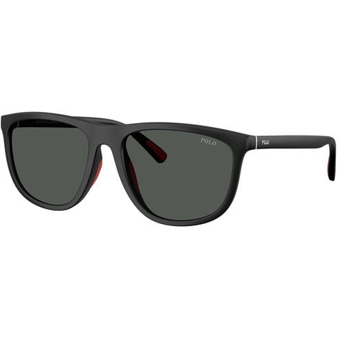 Polo Ralph Lauren - Men's 0PH4231U Wayfarer Sunglasses