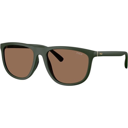 Polo Ralph Lauren - Men's 0PH4231U Wayfarer Sunglasses