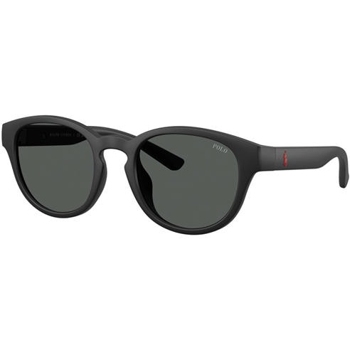 Polo Ralph Lauren - Men's 0PH4233U Round Sunglasses