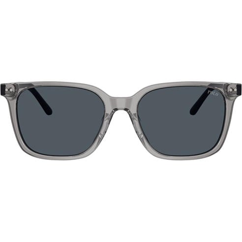 Polo Ralph Lauren - Men's 0PH4235U Wayfarer Sunglasses