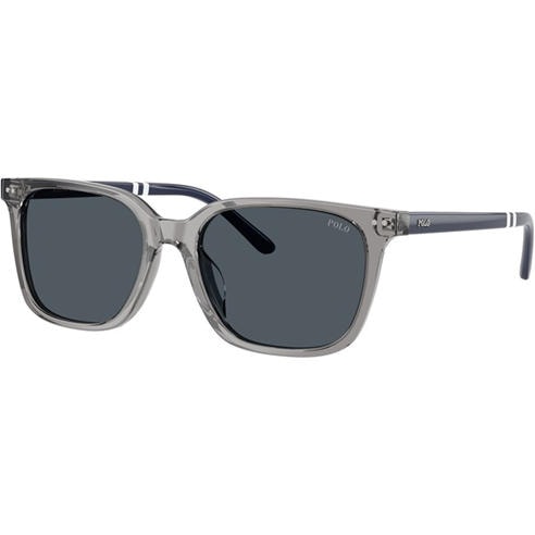Polo Ralph Lauren - Men's 0PH4235U Wayfarer Sunglasses