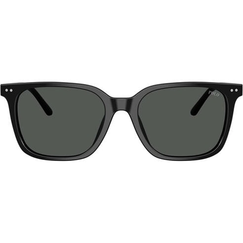 Polo Ralph Lauren - Men's 0PH4235U Wayfarer Sunglasses