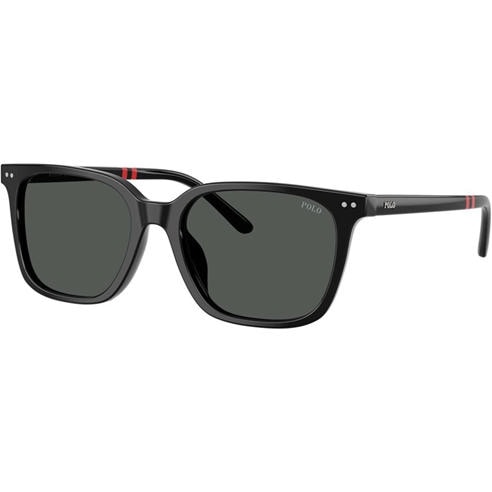 Polo Ralph Lauren - Men's 0PH4235U Wayfarer Sunglasses